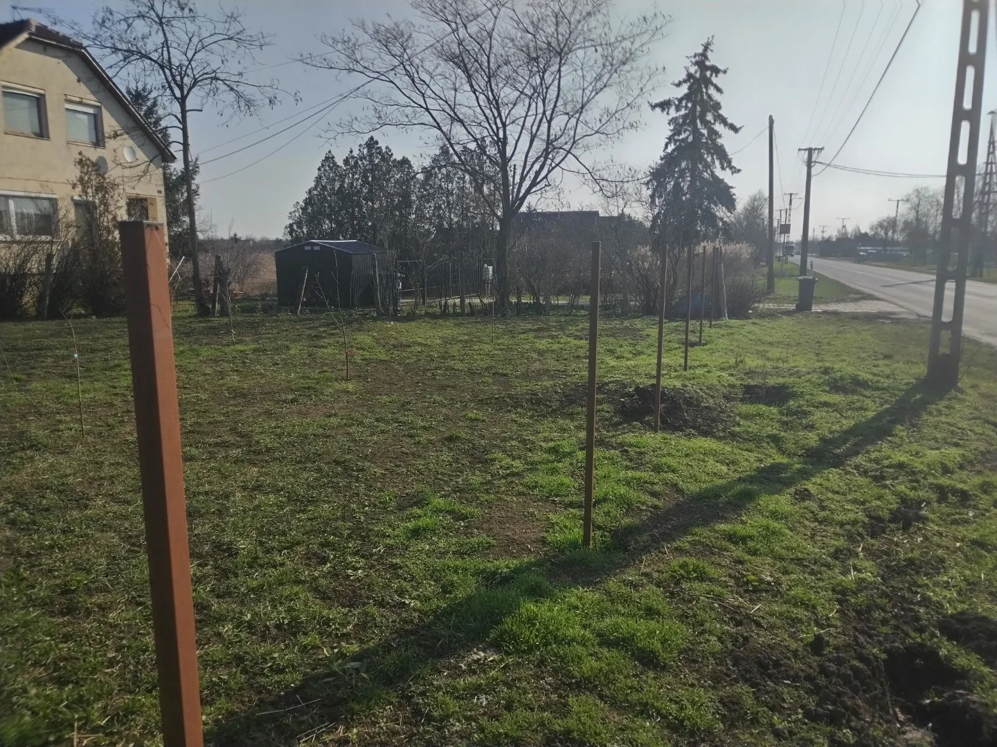 Eladó tanya mezőgazdaság Mezőberényen - Kép 7