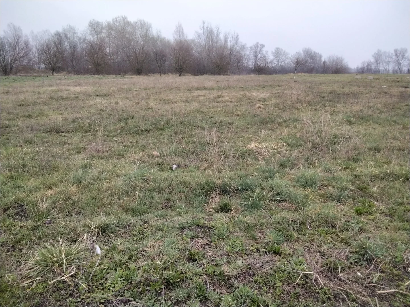 Eladó építési telek Komáromon - Kép 2