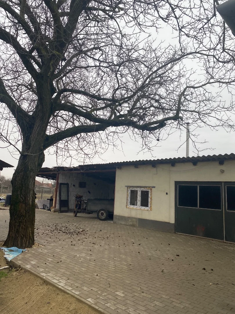 Eladó családi ház Csincsen - Kép 10