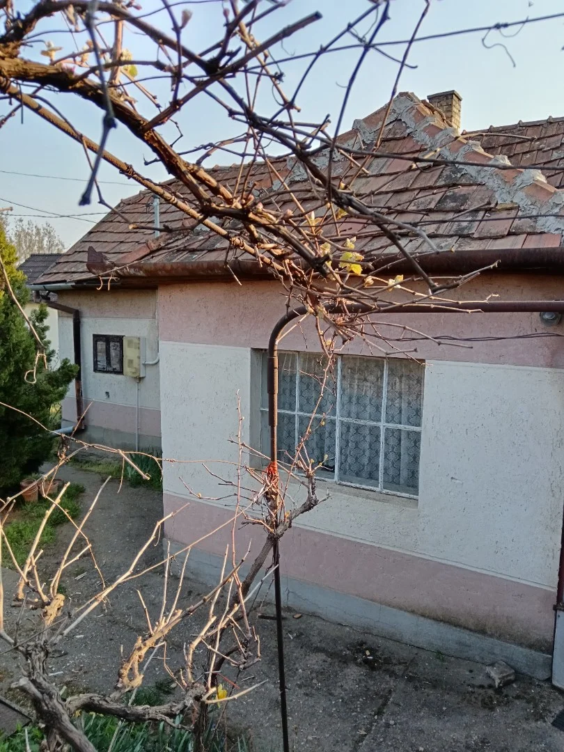 Eladó építési telek Nyíregyháza - Kép 5