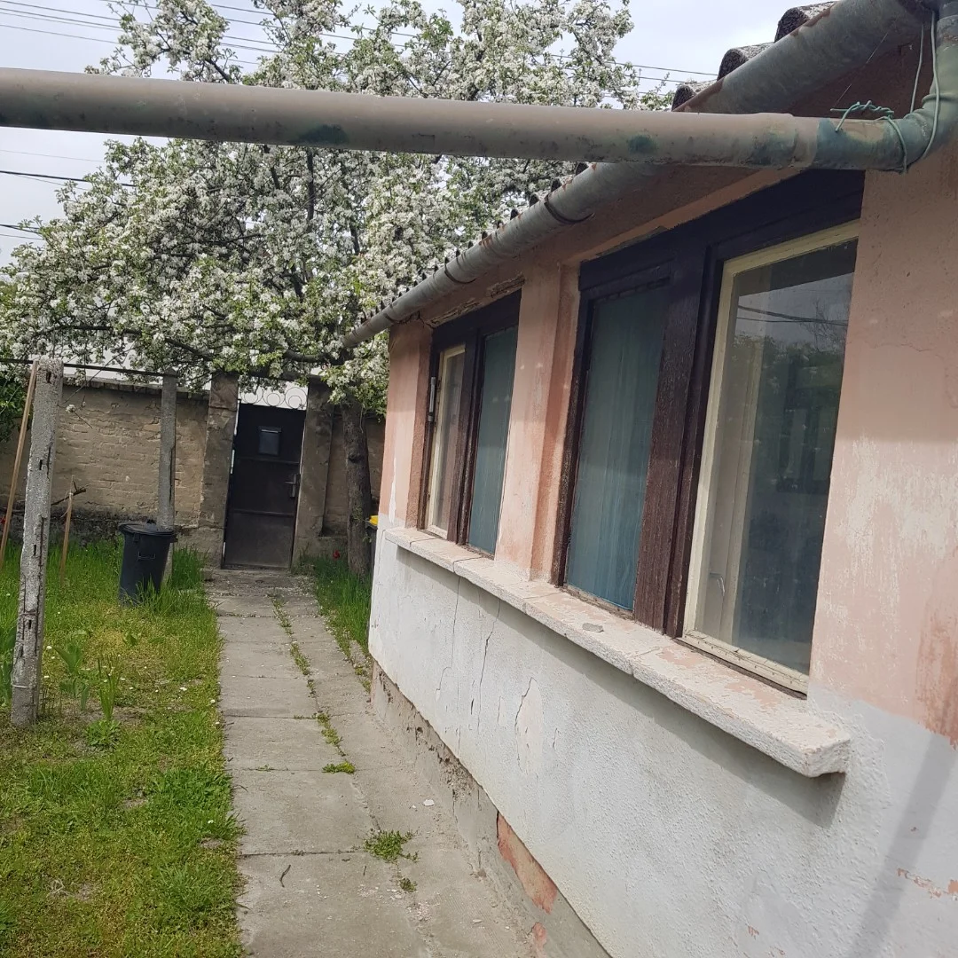 Eladó családi ház Kalocsa Viola - Kép 2