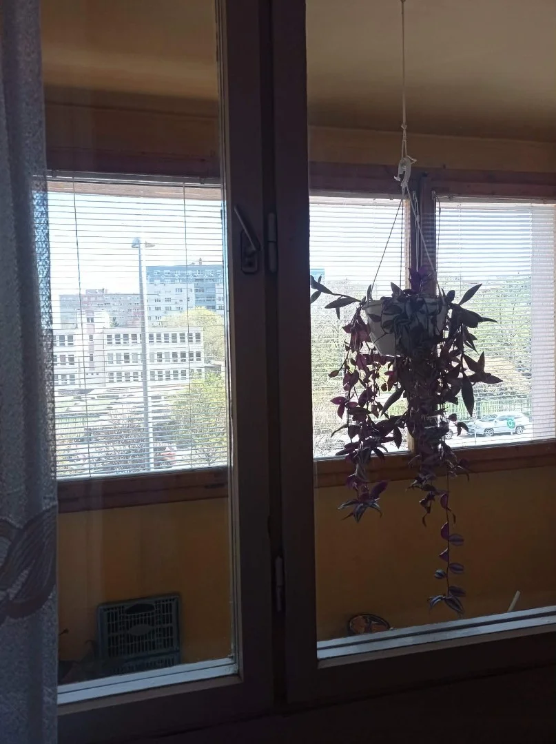Eladó panel lakás Budapest 03. ker. Kiskorona utca - Kép 3