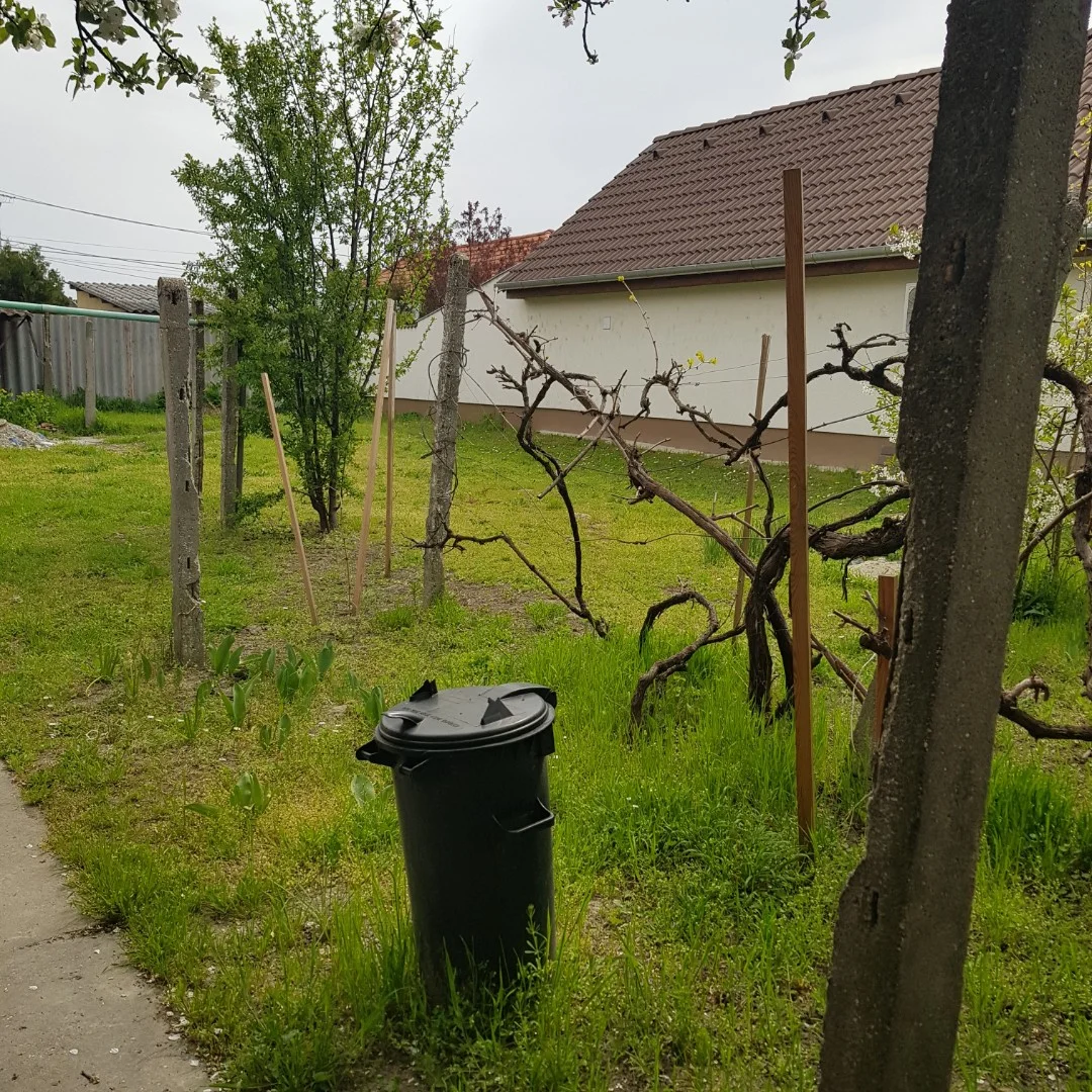 Eladó családi ház Kalocsa Viola - Kép 5