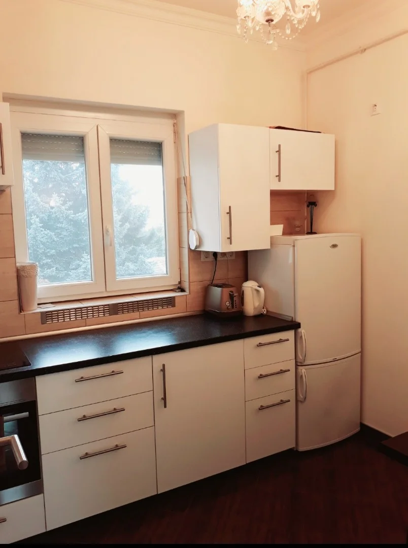 Kiadó tégla lakás Budapest 11. ker. Puskás Tivadar utca - Kép 8