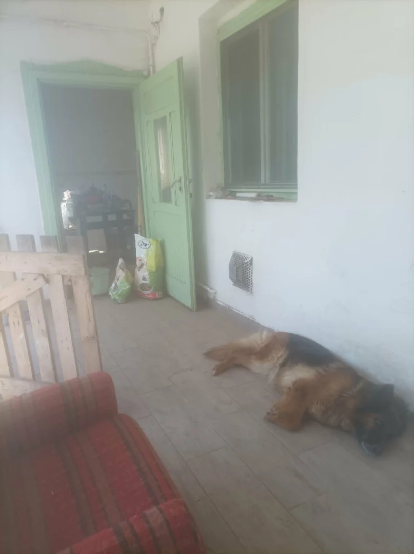 Eladó családi ház Sárkeresztúr Szent István út - Kép 10