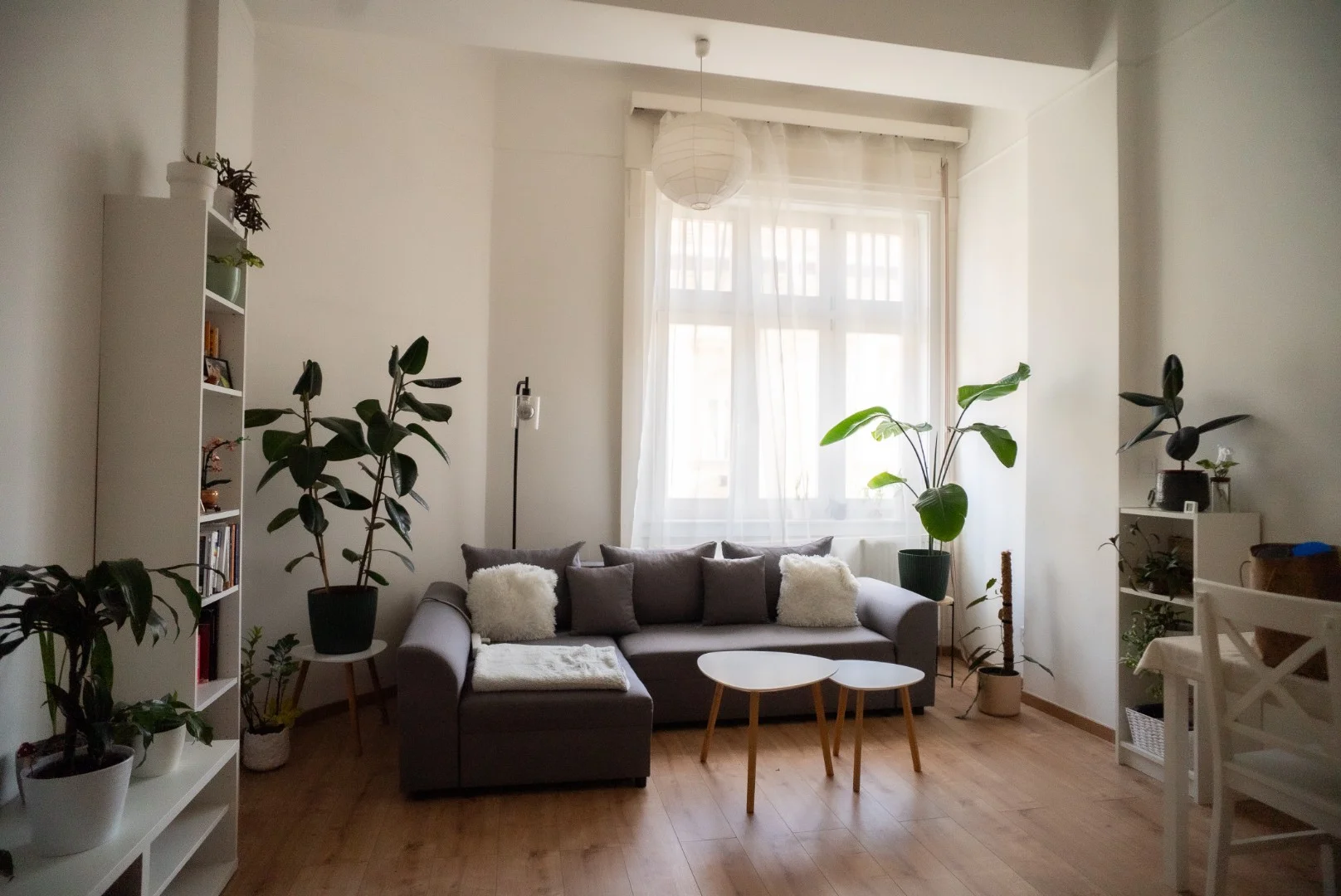 Eladó tégla lakás Budapest 07. ker. Péterfy Sándor utca