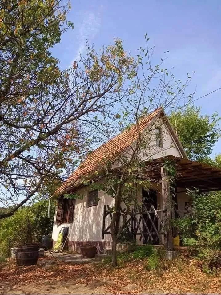 Eladó önálló nyaraló nyaraló / üdülő Ságvár