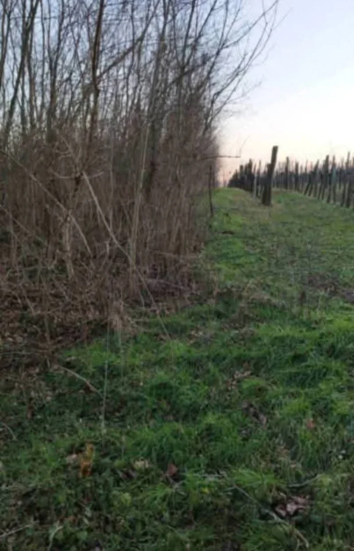 Eladó építési telek Garabonc Diós - Kép 5