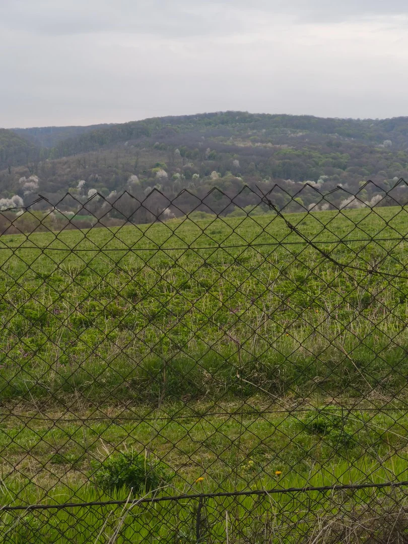 Eladó családi ház Kislőd Kossuth Lajos utca - Kép 11