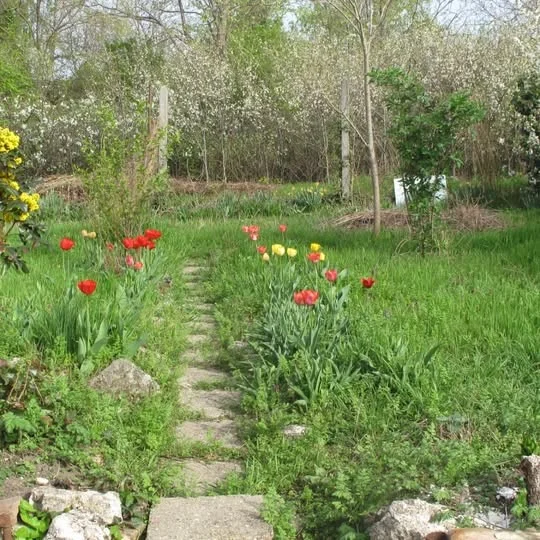 Eladó családi ház Pécs Hegyalja utca - Kép 2