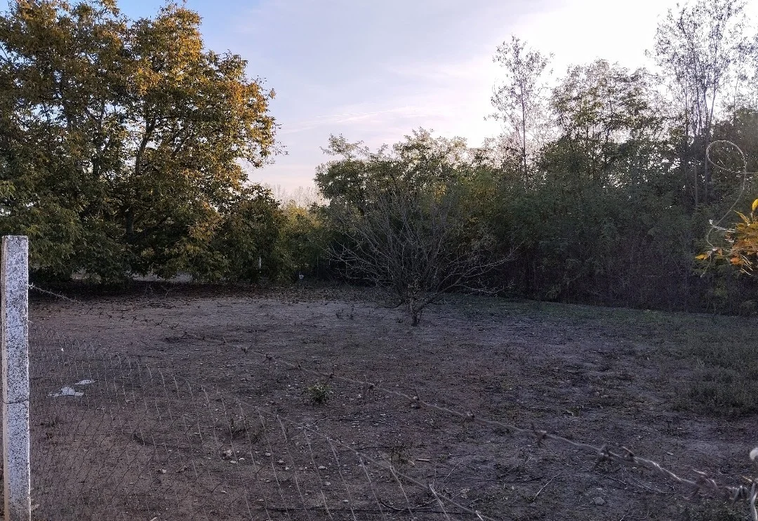 Eladó építési telek Csikéria