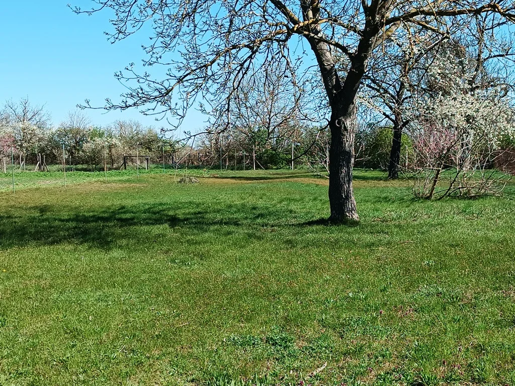 Eladó családi ház Vámosmikola Börzsönyi utca - Kép 13