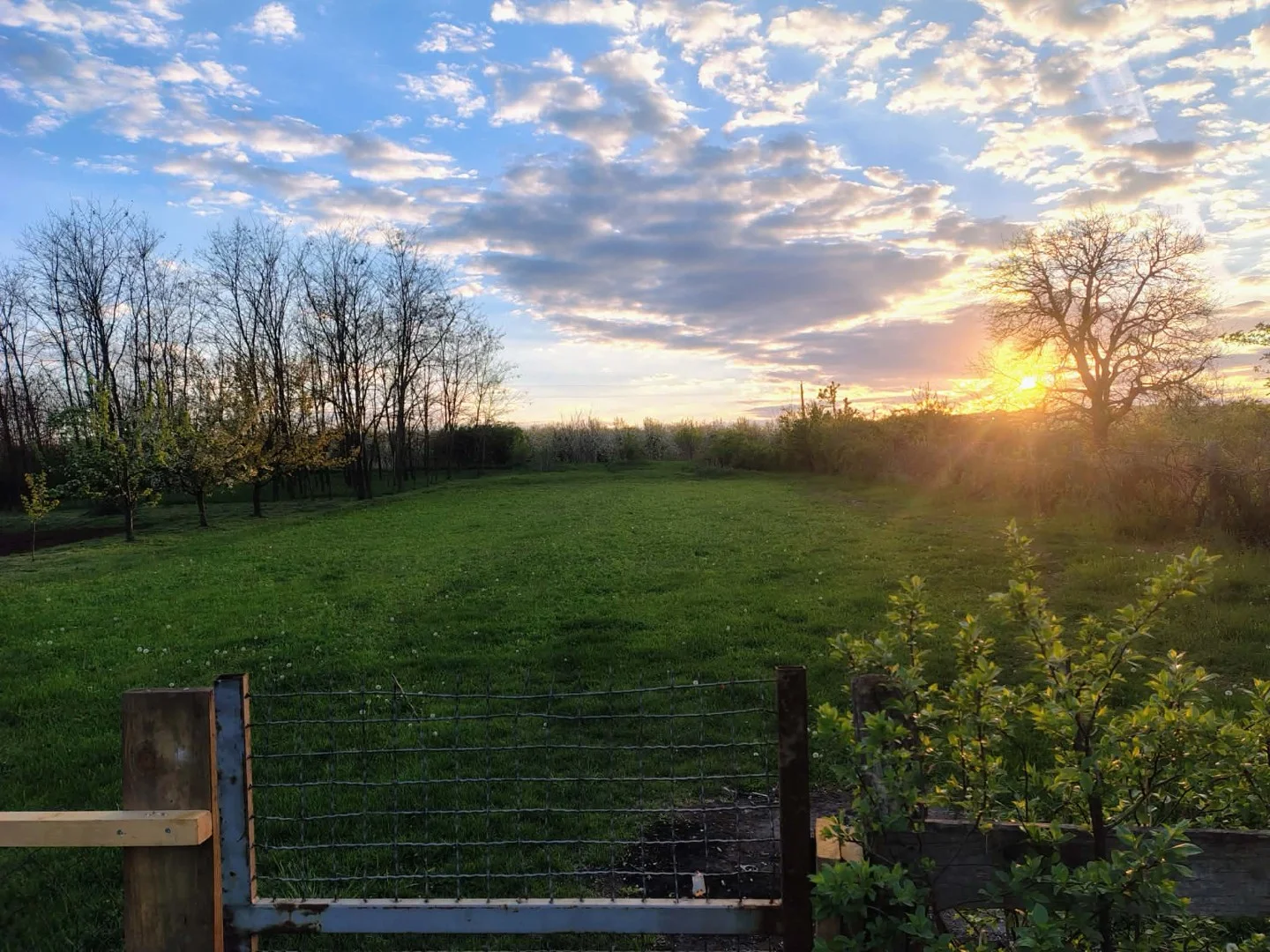 Eladó családi ház Alsóvadász Fő utca - Kép 2