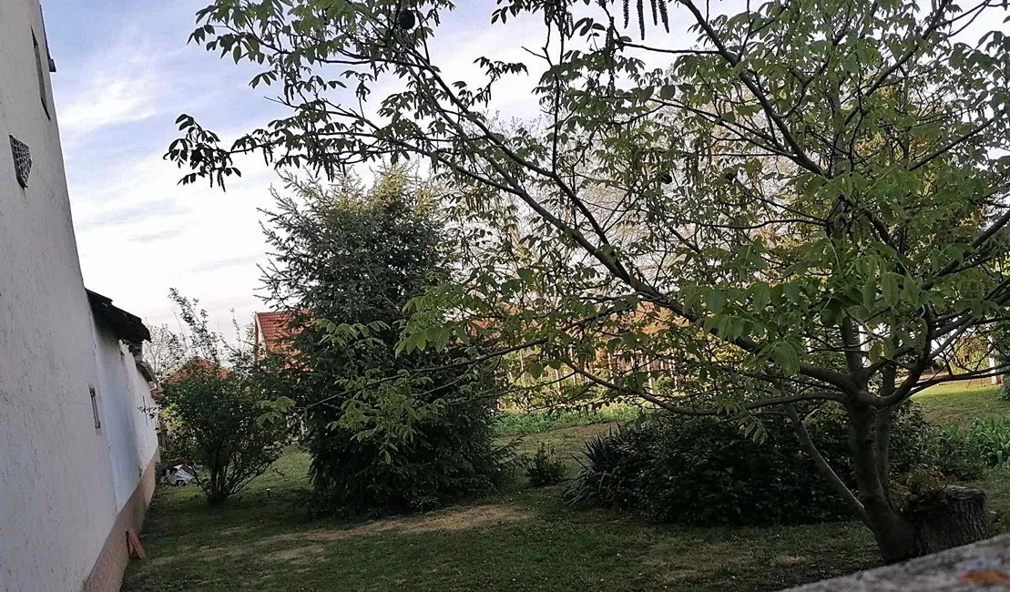 Eladó építési telek Békéscsaba Dr. Francisci D. utca - Kép 11