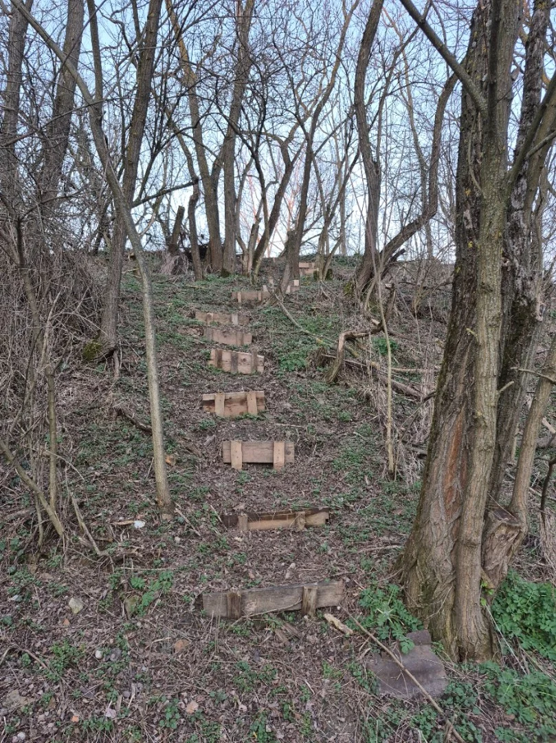 Eladó építési telek Kozármisleny Kossuth Lajos utca - Kép 6