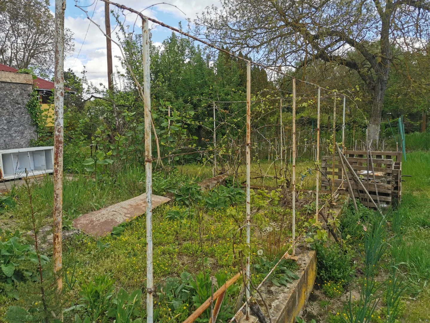 Eladó önálló nyaraló nyaraló / üdülő Kalocsa Meszesi Dunapart - Kép 10