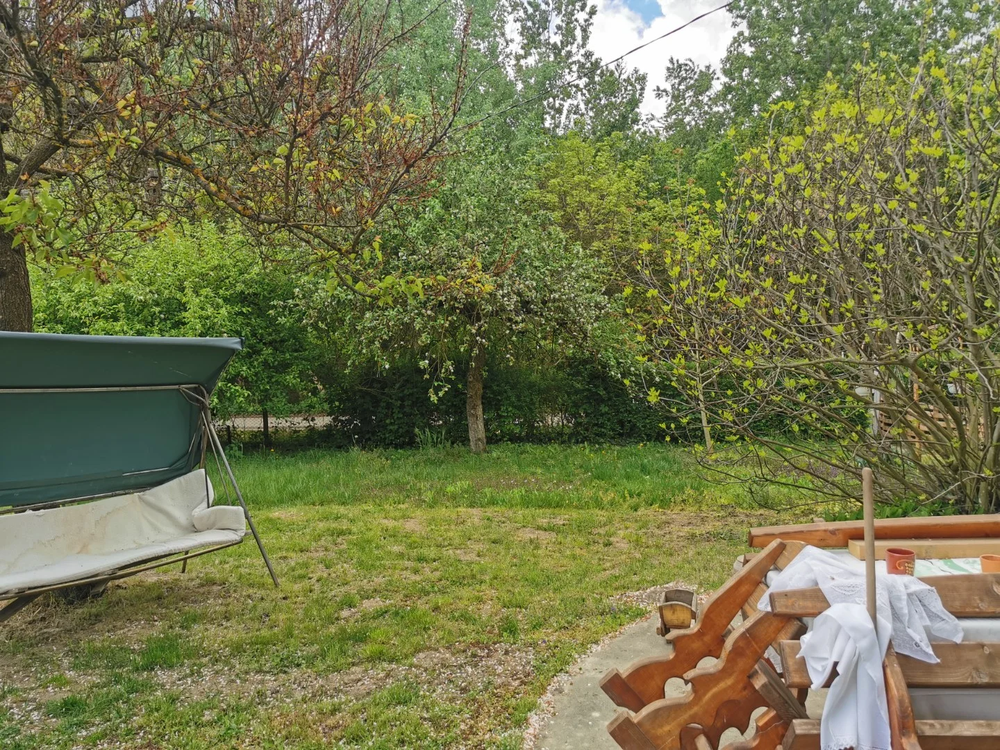 Eladó mezőgazdasági telek Kalocsa Meszesi Dunapart - Kép 5