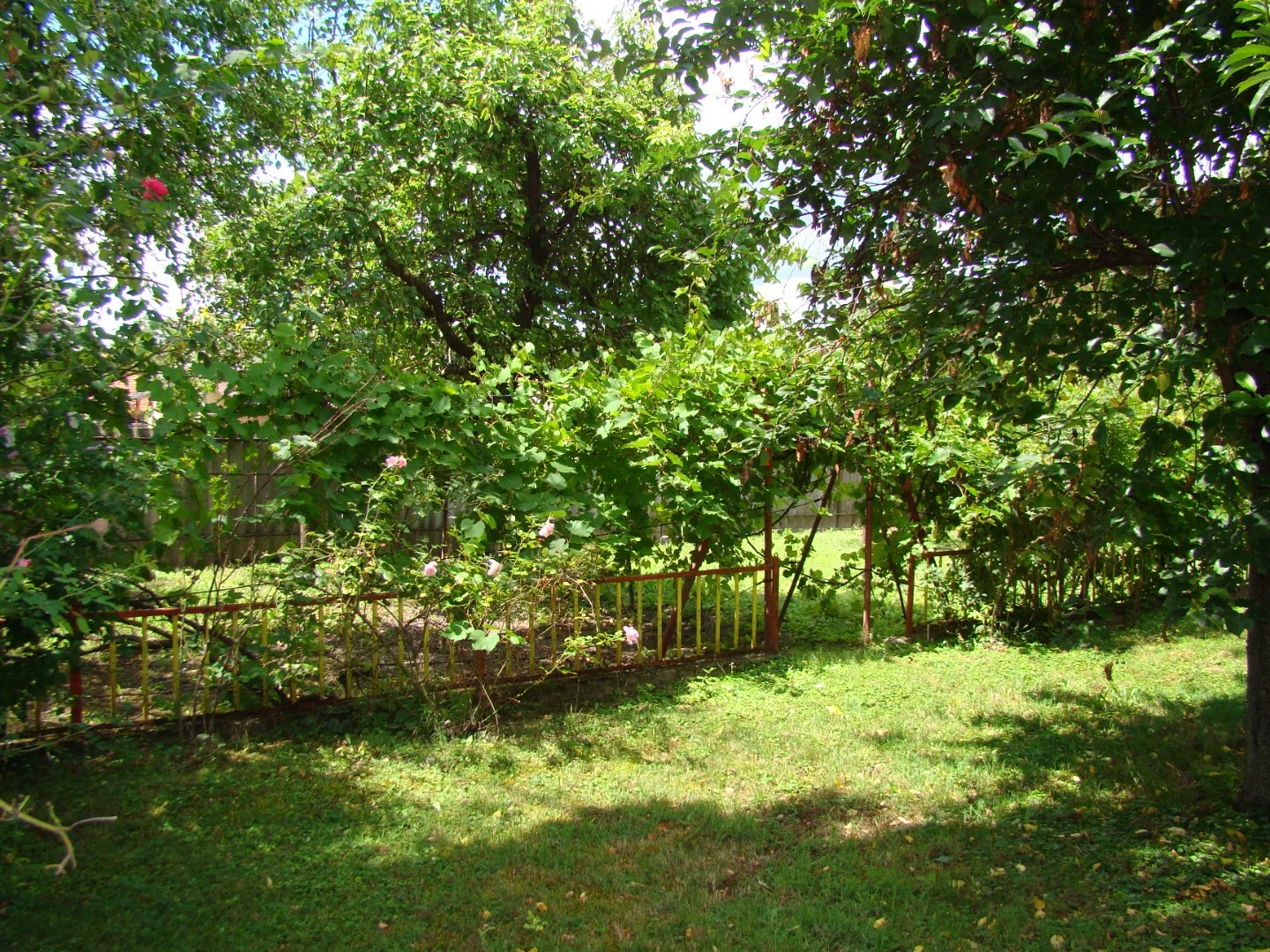 Eladó családi ház Mosonszentmiklós Dankó - Kép 3