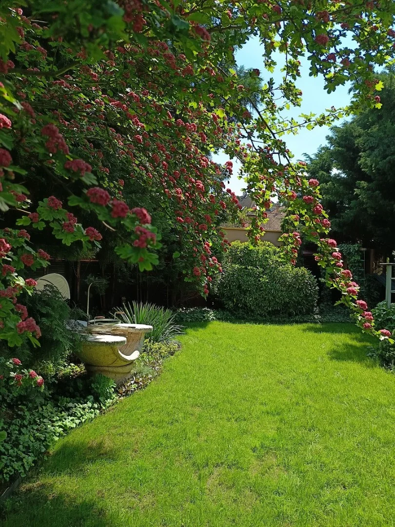 Eladó családi ház Budapest 14. ker. Vadvirág utca - Kép 3