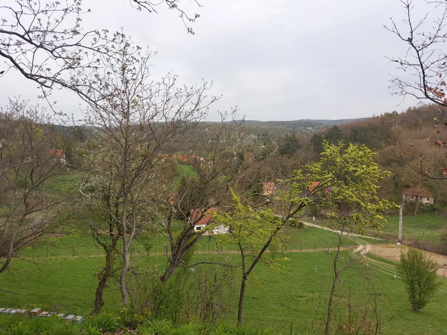Eladó építési telek Orfű - Kép 5