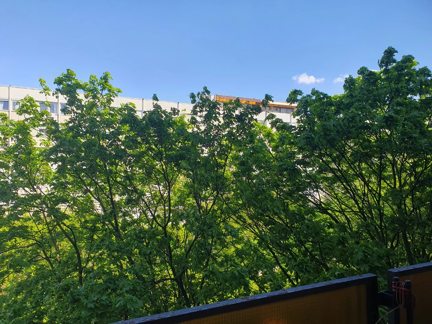 Kiadó tégla lakás Budapest 13. ker. Karikás Frigyes utca - Kép 9