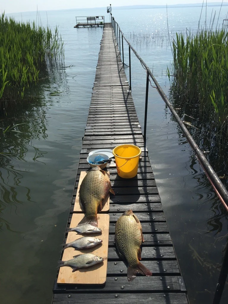 Eladó családi ház Balatonszepezd Halász utca - Kép 5