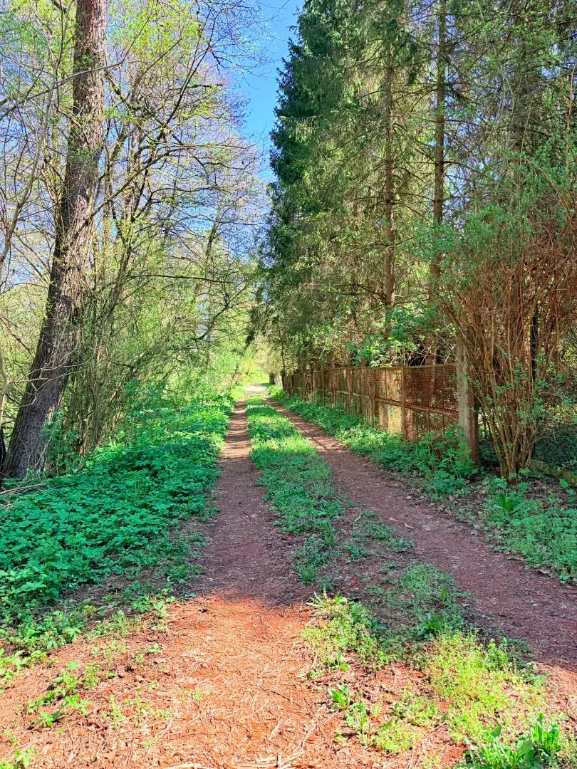 Eladó mezőgazdasági telek Kazincbarcika Billatáró - Kép 18