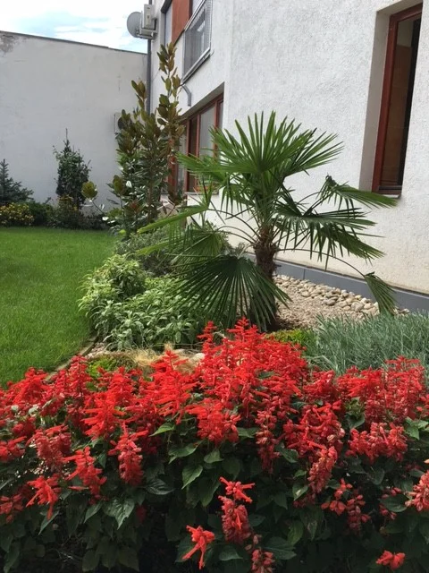 Kiadó tégla lakás Pécs Anna - Kép 13