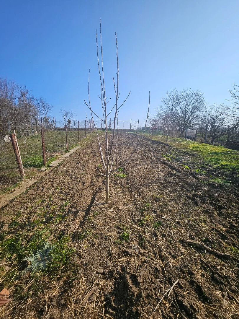 Eladó családi ház Héhalom