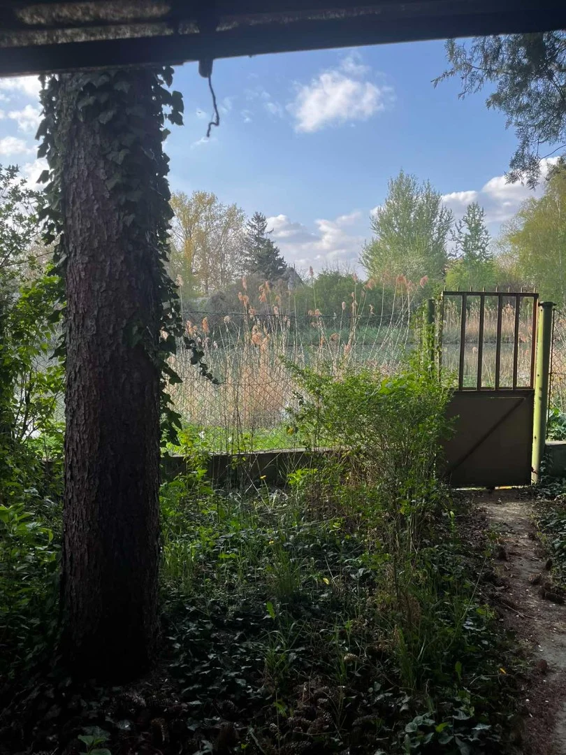 Eladó önálló nyaraló nyaraló / üdülő Dömsöd Árnyas sétány - Kép 7