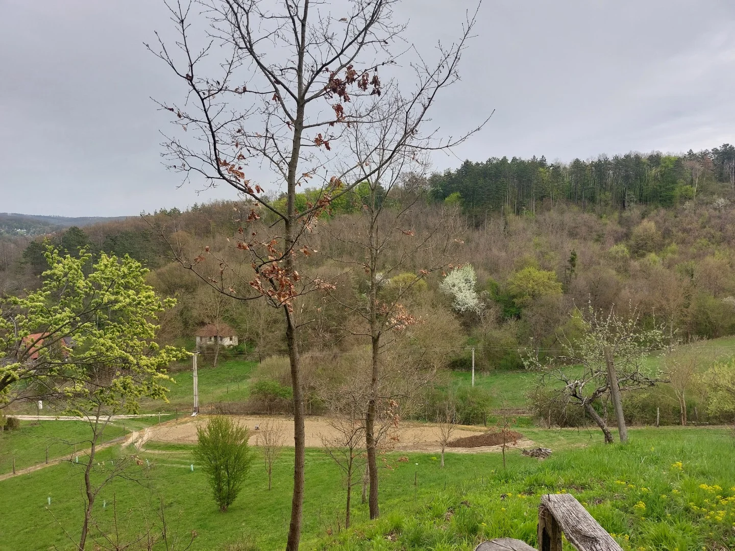 Eladó építési telek Orfű - Kép 6