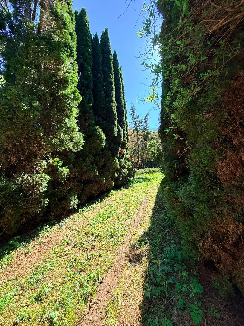 Eladó mezőgazdasági telek Kazincbarcika Billatáró - Kép 17