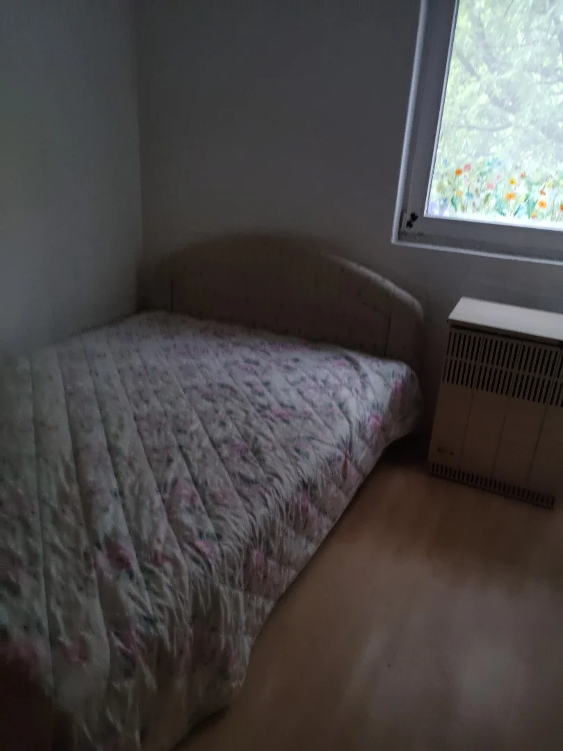 Kiadó ikerház Velence Csemete utca - Kép 6