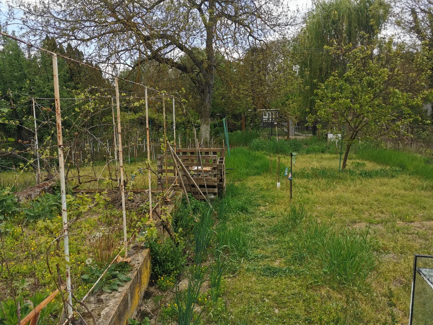 Eladó mezőgazdasági telek Kalocsa Meszesi Dunapart - Kép 8