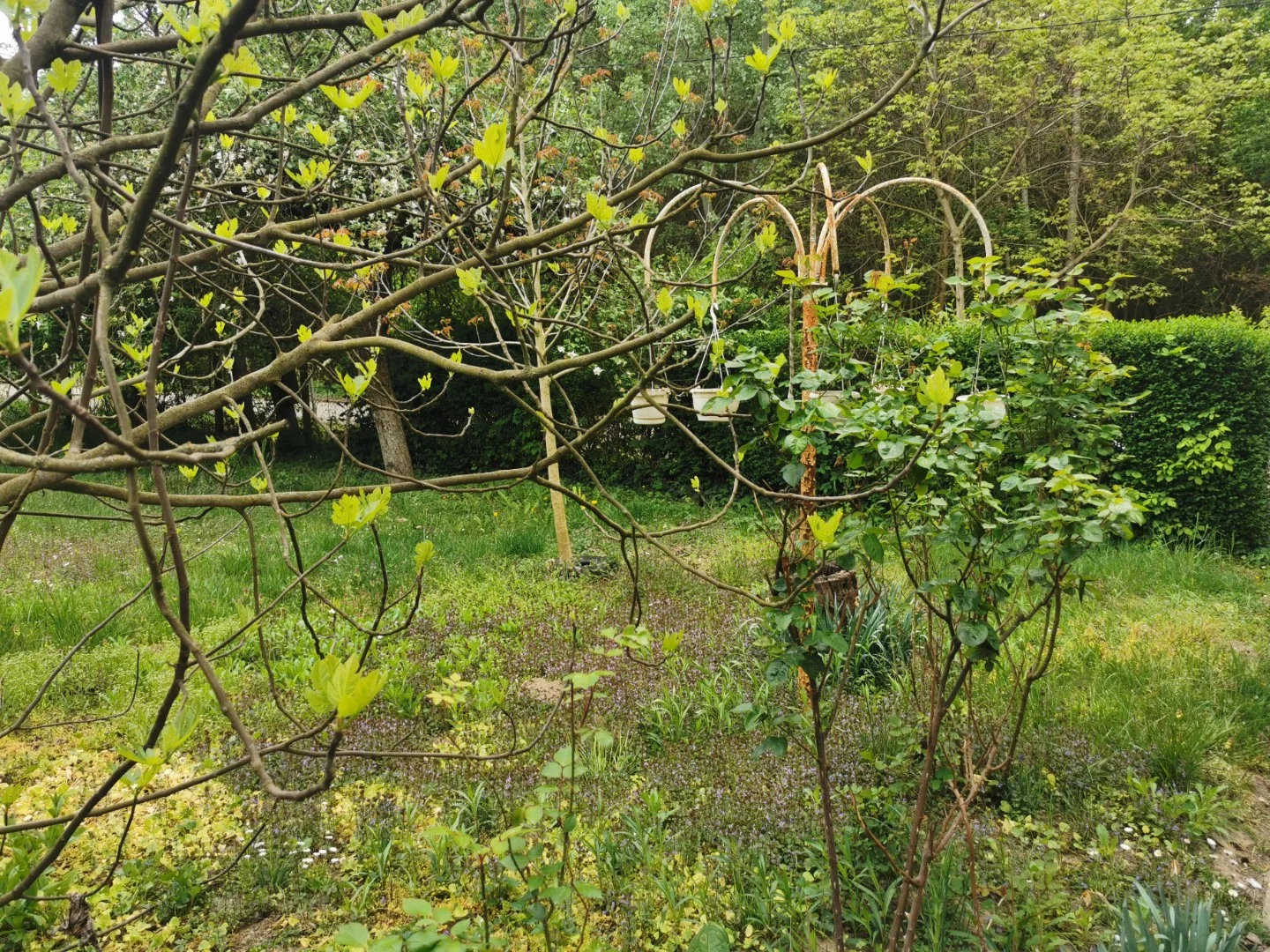 Eladó önálló nyaraló nyaraló / üdülő Kalocsa Meszesi Dunapart - Kép 2