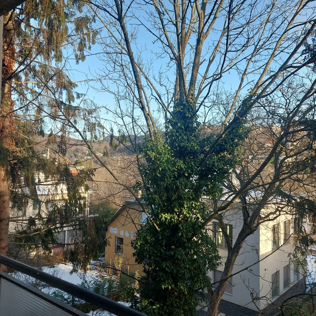 Eladó tégla lakás Budapest 02. ker. Hűvösvölgyi út - Kép 17