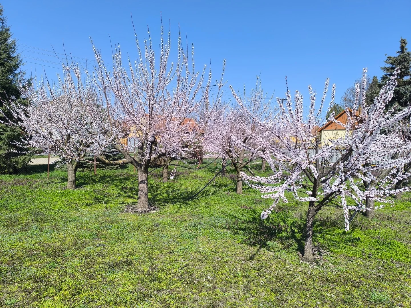 Eladó építési telek Medgyesegyháza Zsilinszky - Kép 2