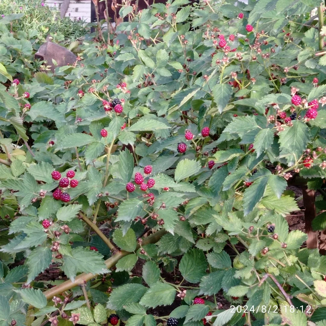 Eladó tégla lakás Győr - Kép 10