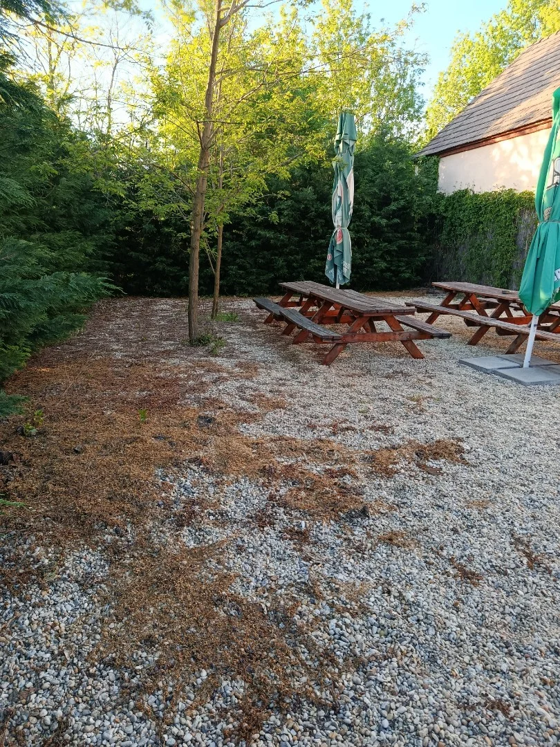 Eladó üzlet iroda / üzlet / kereskedelmi / szolgáltató Szany Béke utca - Kép 3