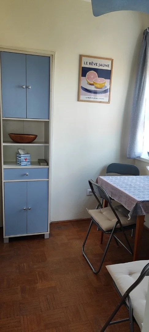 Kiadó tégla lakás Budapest 01. ker. Franklin - Kép 4