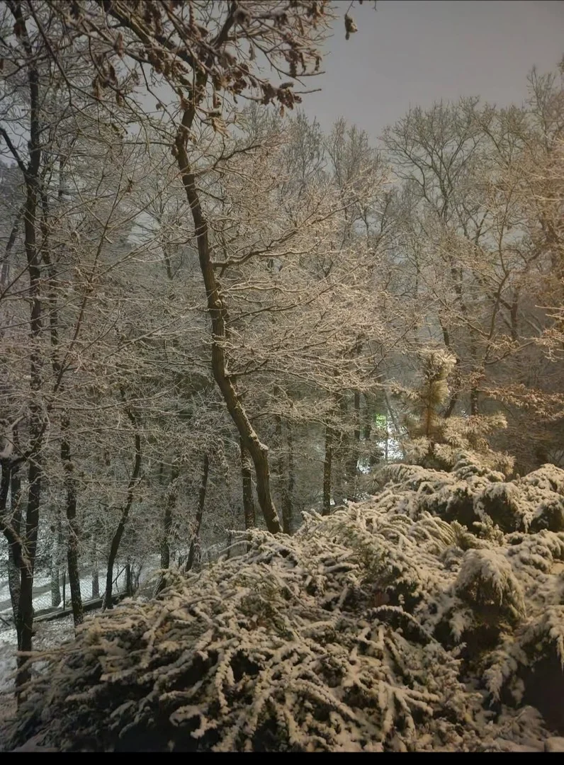 Eladó családi ház Diósd Léda - Kép 7