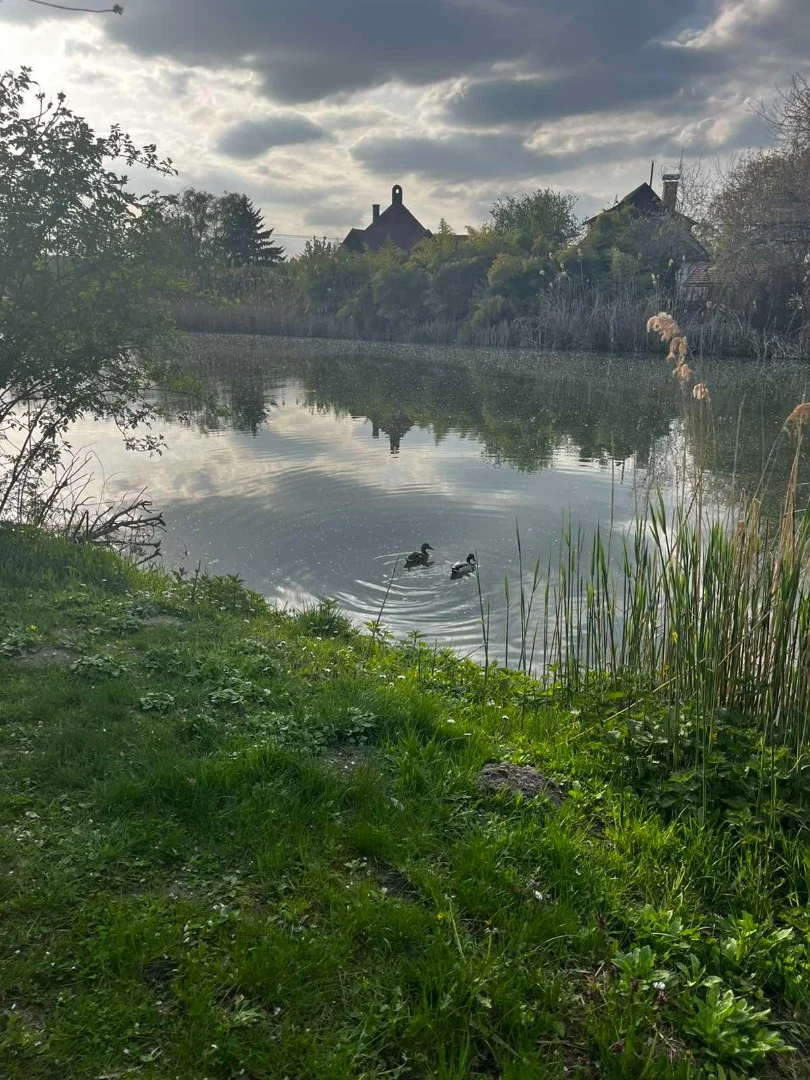 Eladó önálló nyaraló nyaraló / üdülő Dömsöd Árnyas sétány
