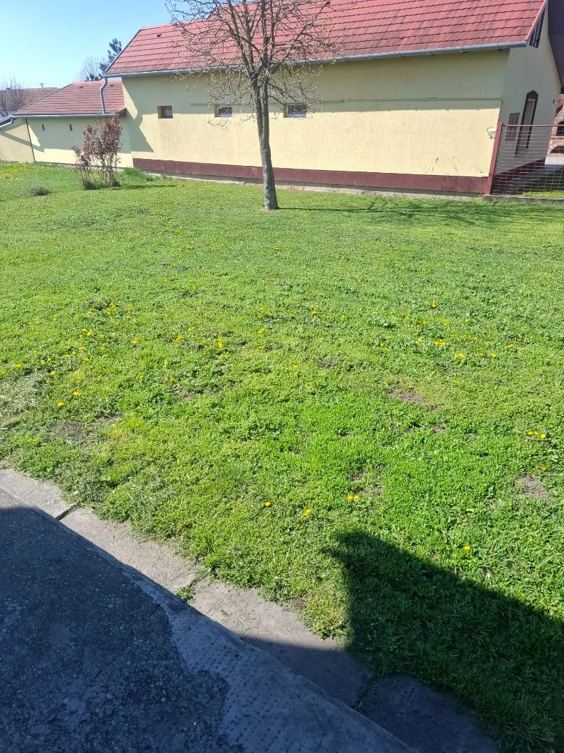 Eladó családi ház Gyomaendrőd Davidhazi Sámuel utca - Kép 3