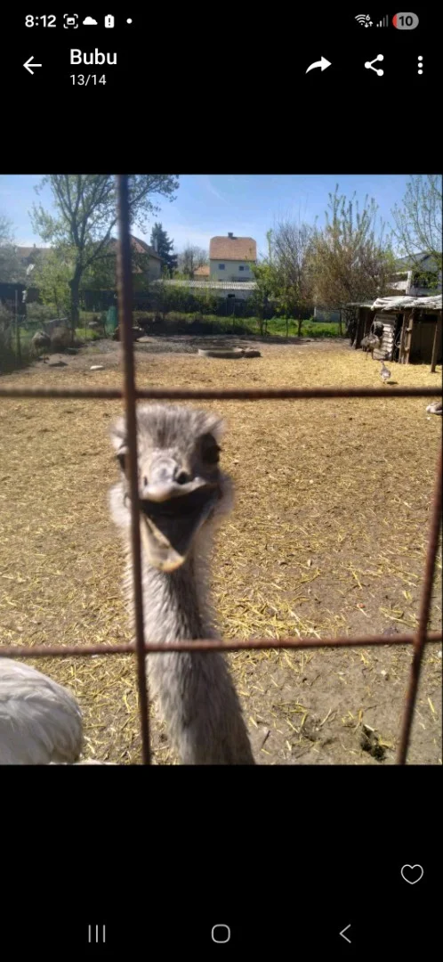 Eladó építési telek Budapest 15. ker. - Kép 2