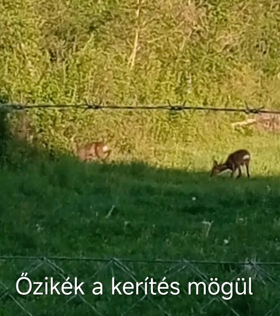 Eladó tégla lakás Győr - Kép 9
