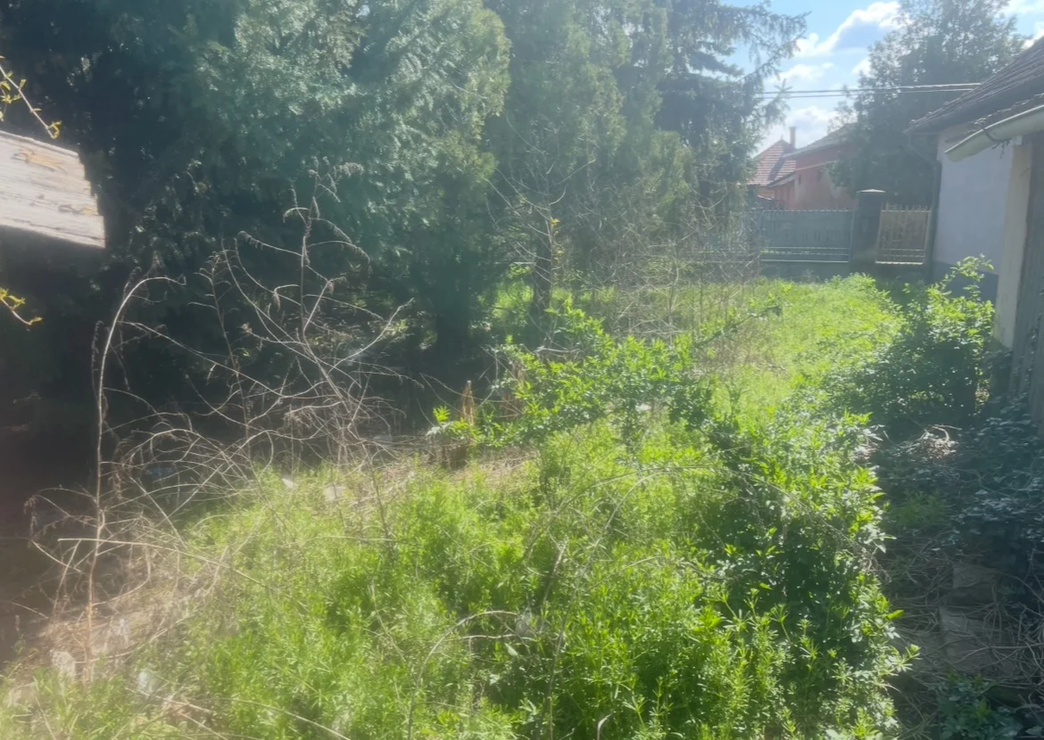 Eladó családi ház Jászapáti Kálmán - Kép 3