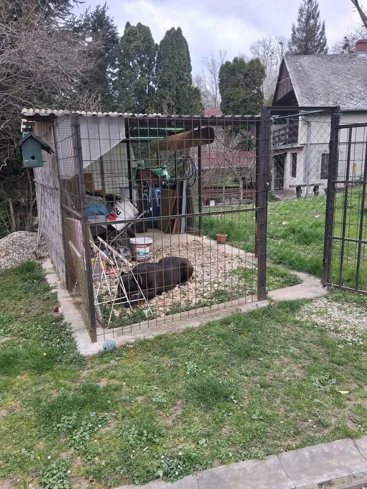 Eladó családi ház Galambok - Kép 17