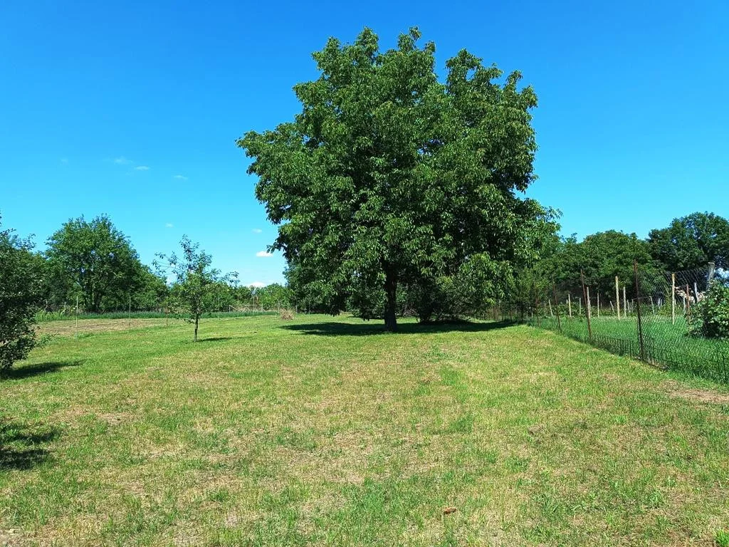 Eladó családi ház Vámosmikola Börzsönyi utca - Kép 14
