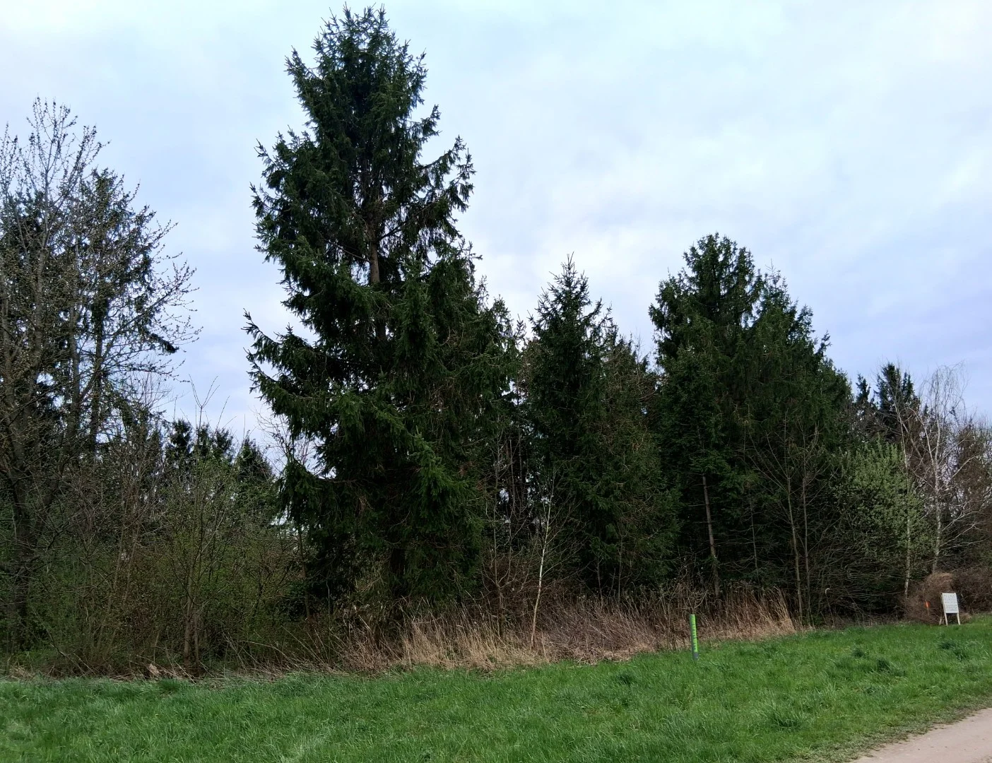 Eladó építési telek Nagykanizsa Alsó Szabadhegyi út - Kép 5