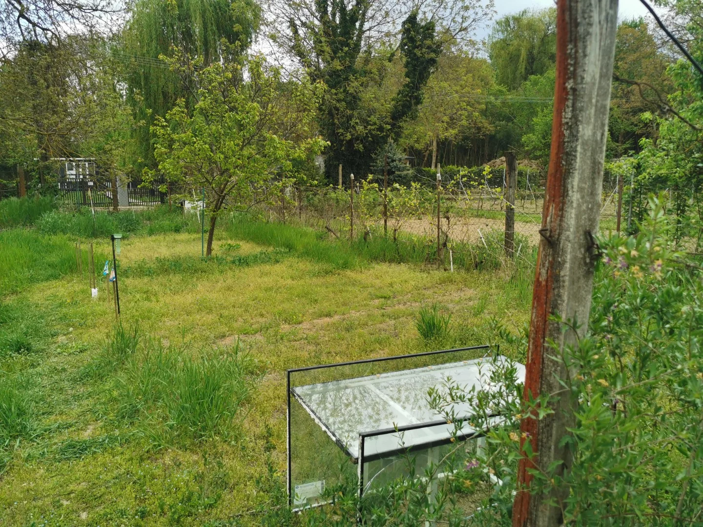 Eladó mezőgazdasági telek Kalocsa Meszesi Dunapart - Kép 9